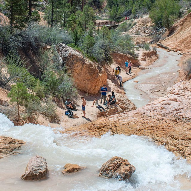 People along a stream in a forested red rock canyon