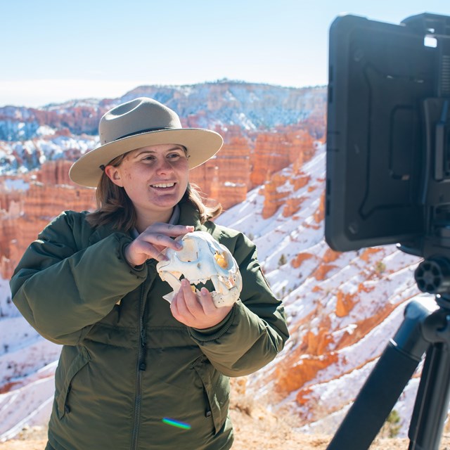 A woman in a park ranger uniform holds a skull up to an ipad camera.