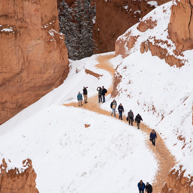 A group of hikers walk on a trail surrounded by white snow and red rock formations