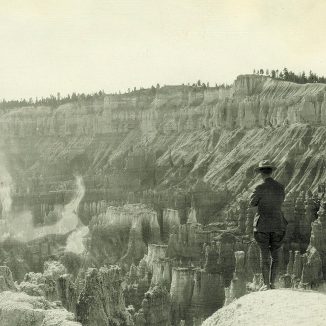 A black and white photo of a ranger looking down into the Bryce Amphitheater