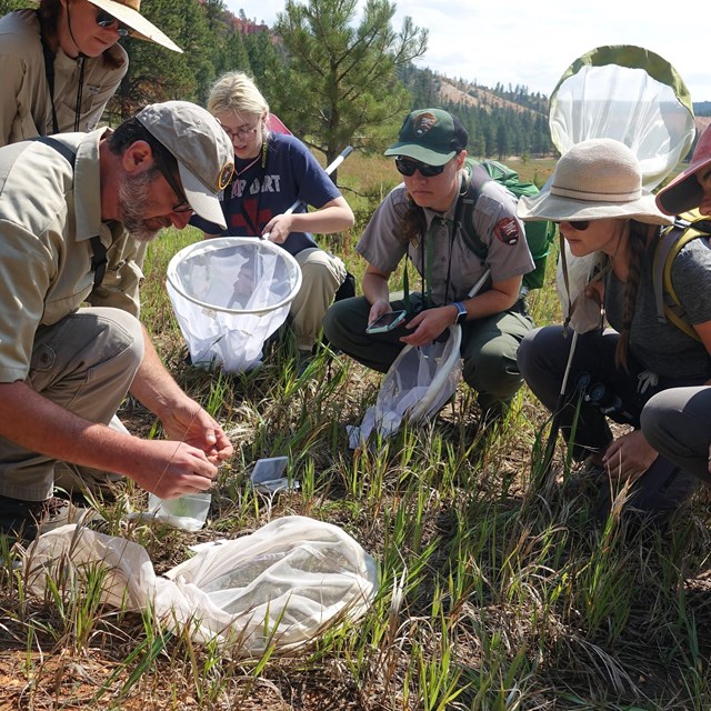 A group of people squat on the ground and watch as a man holds a butterfly for demonstration
