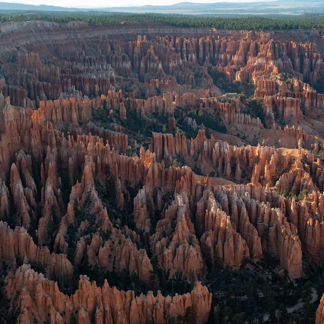 An overhead photo showing the red rocks of the Bryce Canyon Amphitheater