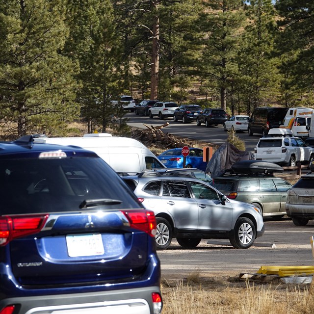 Cars lined up along road for parking