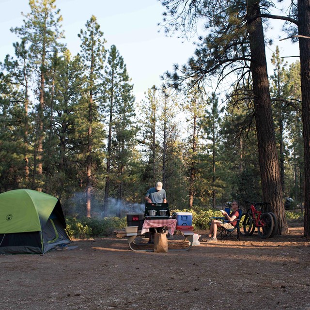 A forested campsite. A green-covered tent stands next to a picnic table where a person cooks at a st