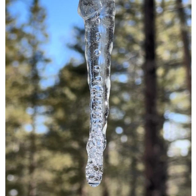 A close up view of an icicle with trapped bubbles inside against a background of trees.