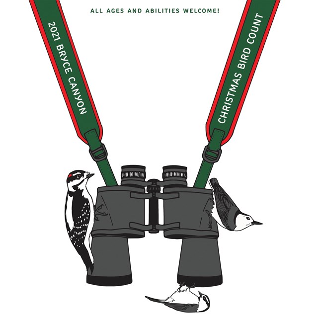 Poster for 2021 Bryce Canyon Christmas Bird Count