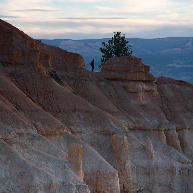 White and red rock cliffs with silhouetted hiker descending beside a pine tree