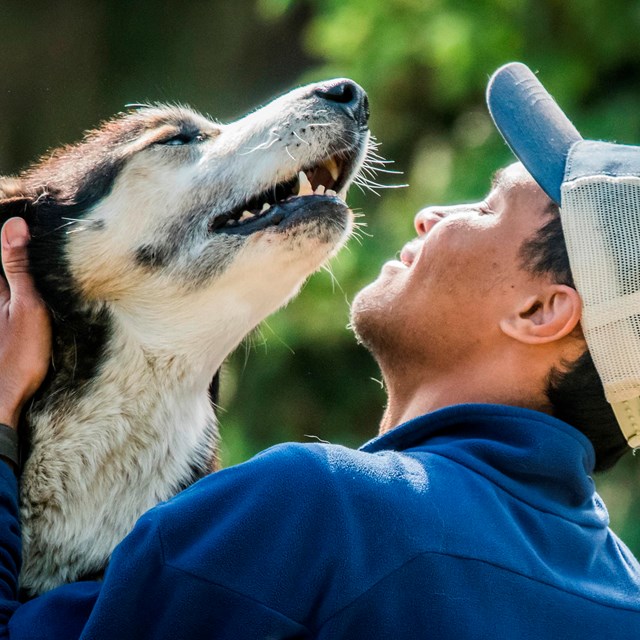 a smiling man in a ballcap pets a husky