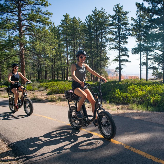 Two bicyclists ride along a paved path through a forest.