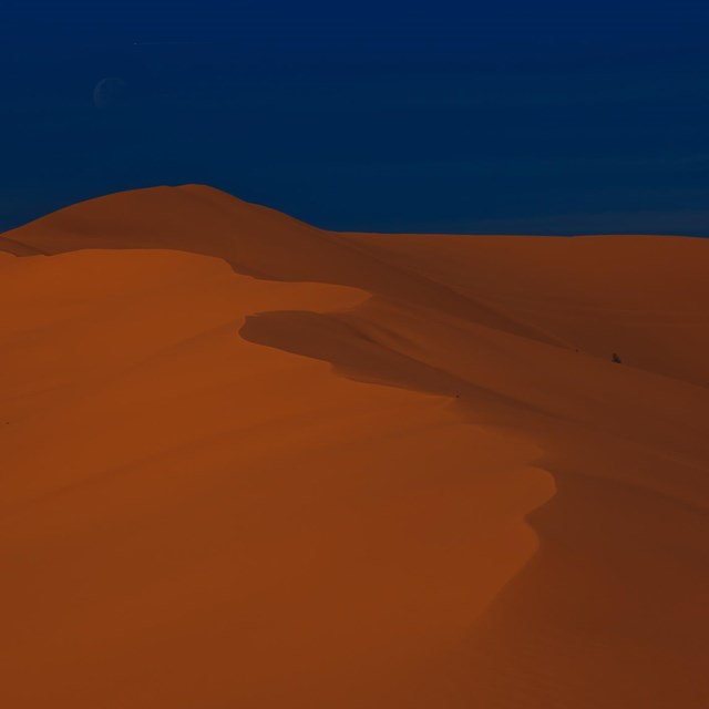 Tall sand dune of coral color stands against a blue sky
