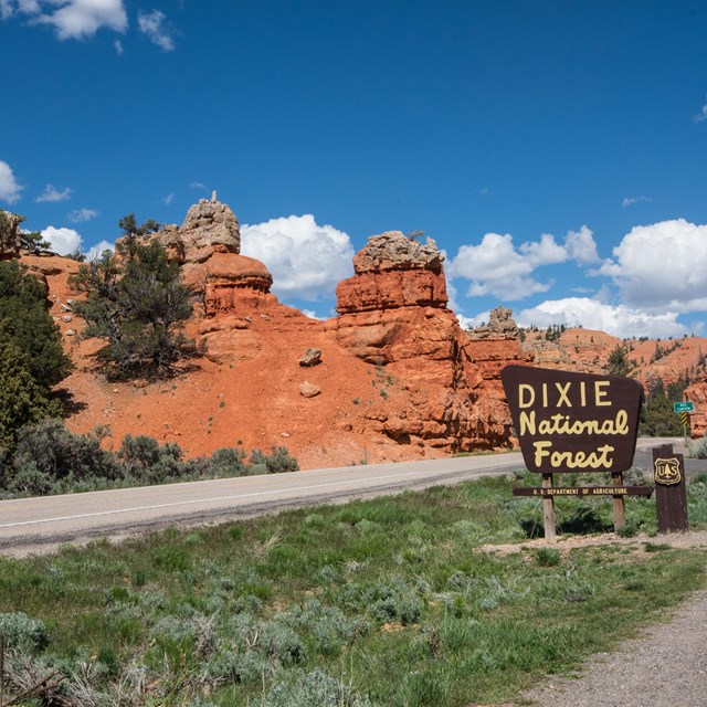 Sign for Dixie National Forest against background of red hoodoos