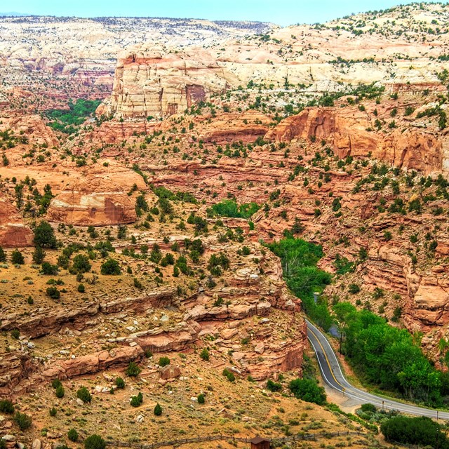 Sandstone canyon bisected by trees and winding road