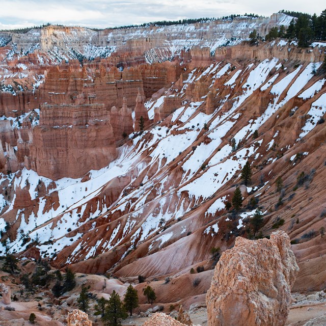 At the edge of a cliff, a vast landscape of red rock spires, cliffs, and walls dusted in snow.