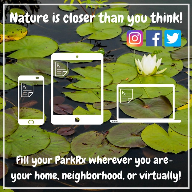 Graphic of lily pads and devices reads Nature is closer than you think! Fill your Park Rx.