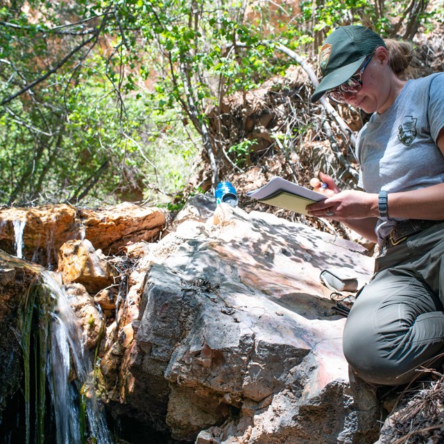 A woman sits beside a stream measuring water flow