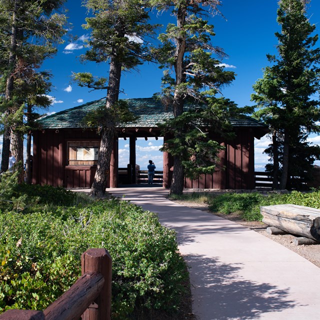 A wooden shelter stands at the end of a sidewalk lined by conifer trees