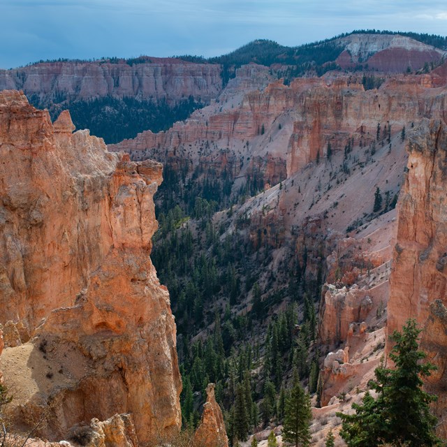 An overhead view of red rock formations with a lower area of green trees in the center.