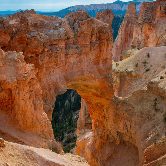 An arch sculpted from the surrounding red rocks.