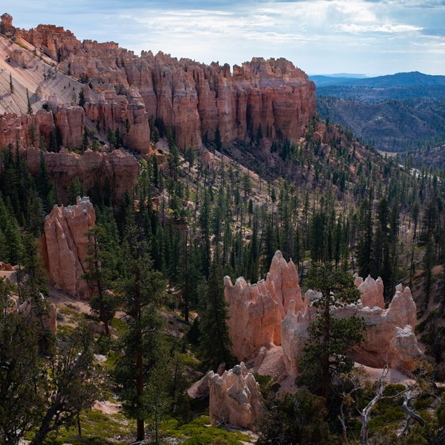A view of red rocks interspersed with green trees.