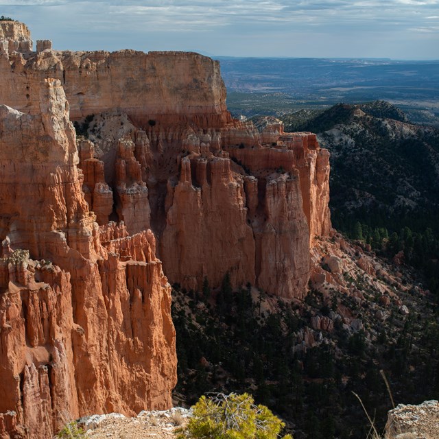 Red rock formations on the left side and trees on the right.