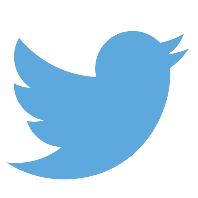 Blue cartoon bird logo