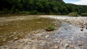Find Your River Levels
