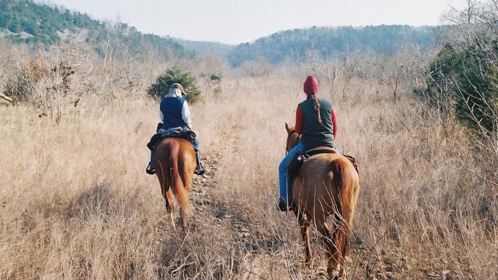 Two horseback riders tread on a trail. Tall, beige brush surrounds them.
