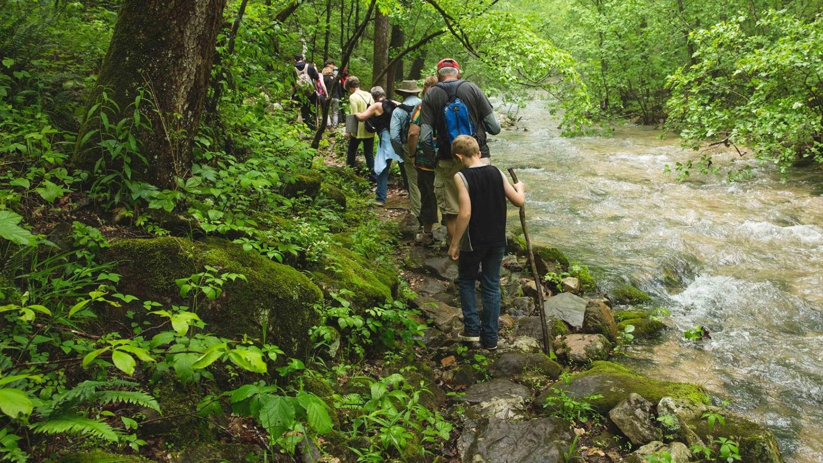 A group of hikers follows steps on a trail by a flowing creek.