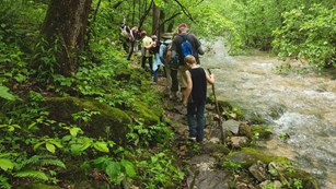 There are more than 100 miles of trails at Buffalo National River.