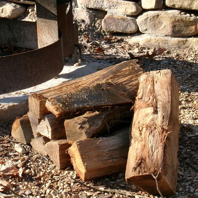 A stack of logs sits outside in the sun.