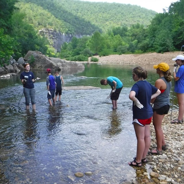 Students learn how to take water quality samples in the Buffalo River.