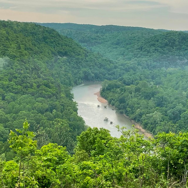 A viewpoint of the Buffalo River.