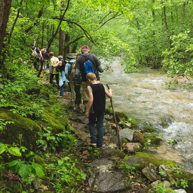 Several people hike on-trail next to a creek.