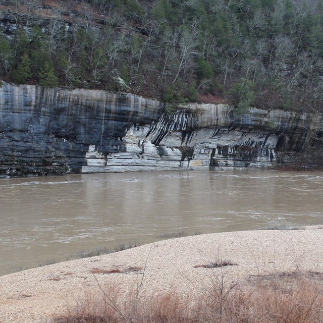 Brown, murky water surges downriver during a flood event