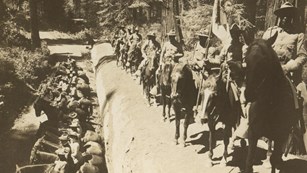 Several army soldiers on horses pose with their mounts on a large, felled tree.