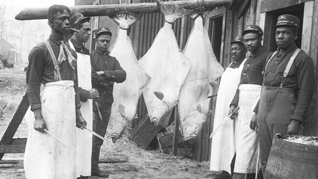 Six soldiers stand and pose for a photo with three giant fish in the background