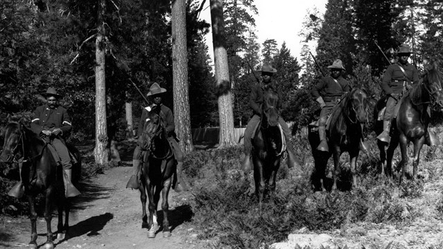 5 soldiers on horseback wearing hats with rifles in front of trees.