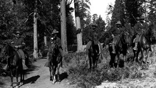 5 soldiers on horseback wearing hats with rifles in front of trees.