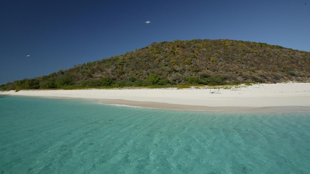 Photo of Buck Island from the water at West Beach.