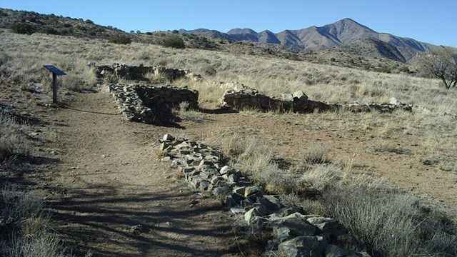 A path lined with rocks in the desert.