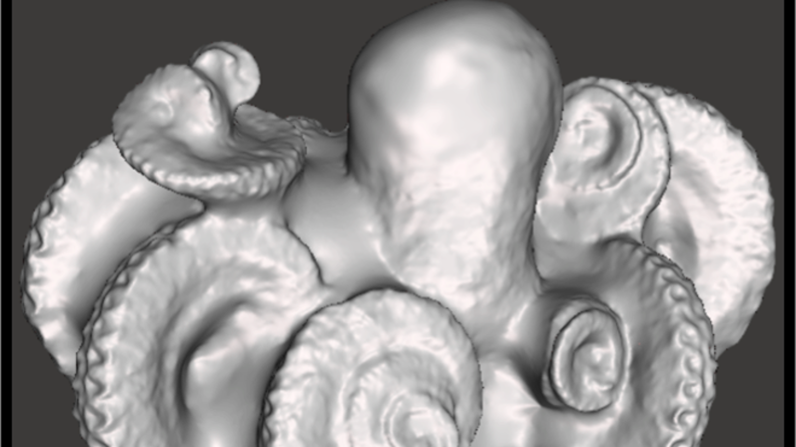3D model image of an octopus