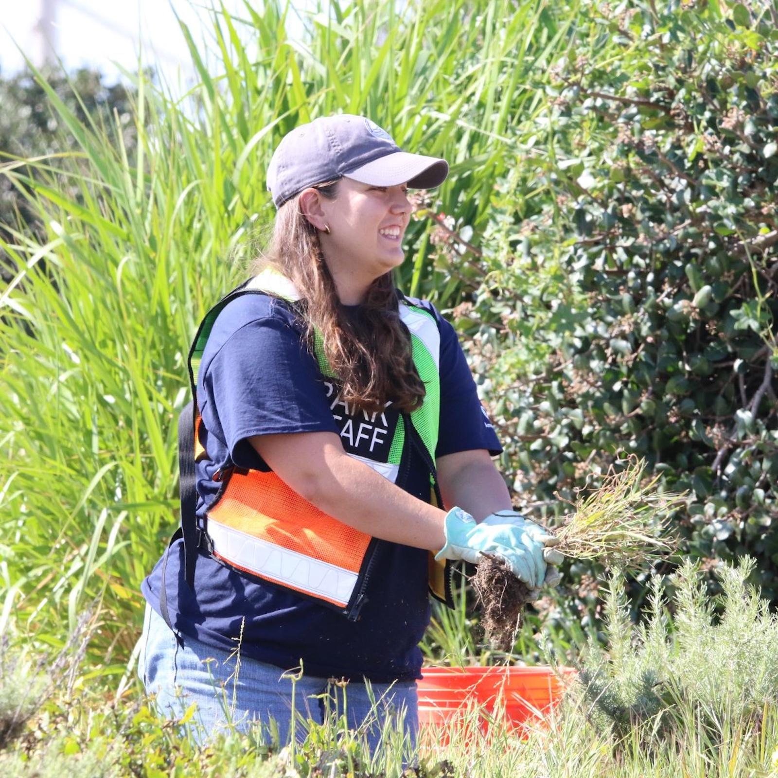  smiling person wearing a cap, gloves, and a safety vest pulls weeds in a sunny, green outdoor area.
