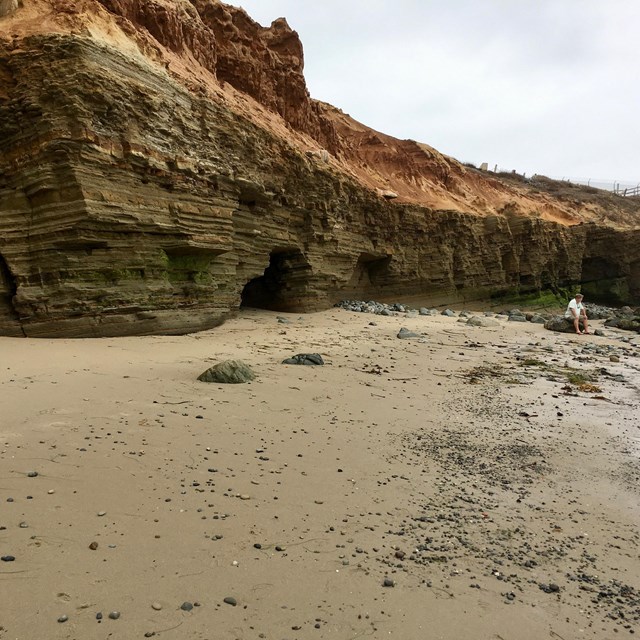 Photo showing Point Loma formation in the tidepools