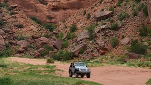 Enjoy a canyon tour with a Navajo guide