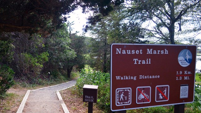 A gravel path leads down to the edge of a pond, a green sign to the right reads "Nauset Marsh Trail"