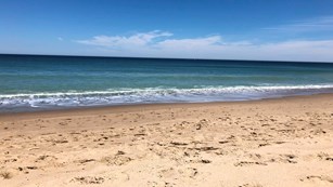 A sandy beach with blue ocean