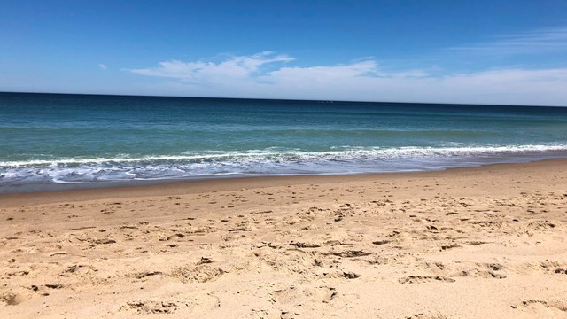 A sandy beach with blue ocean