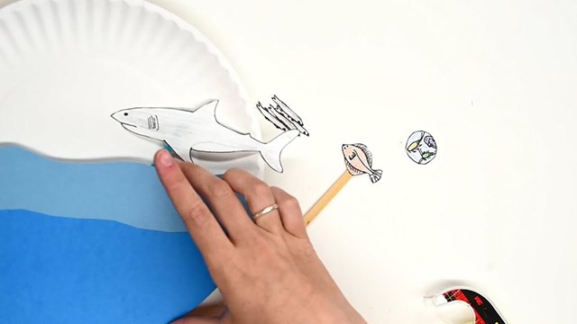 A homemade marine food web created with paper plate and paper animals.