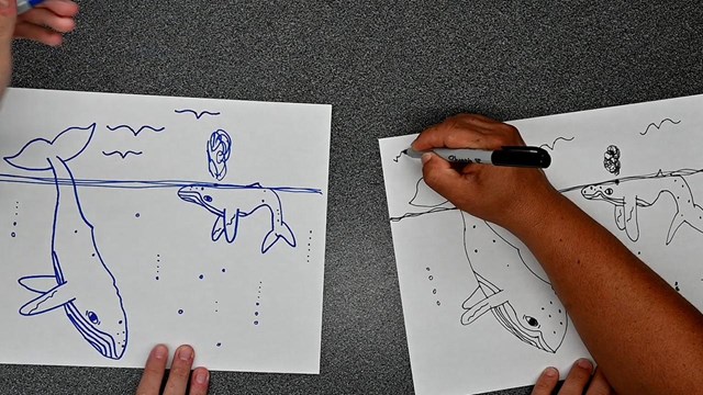 Hand drawn whales 