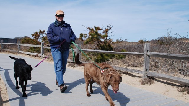 A woman walks a dog down a wooden boardwalk over sand.